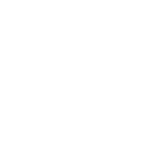 RFZ Radio - Le média Breizh